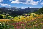 Krkonoše