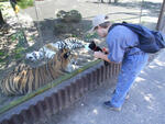v Zoo